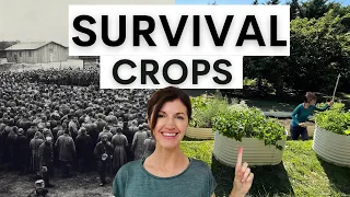 Survival Crops to Grow during Hard Times (with examples from history)