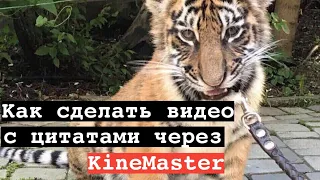 Как Сделать Видео С Цитатами В KineMaster // Легкий Способ Сделать Цитаты Для Инстаграм