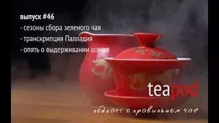 TeaPOD: подкаст о чае. Выпуск 46: сезоны сбора зеленого чая и вопросы слушателей