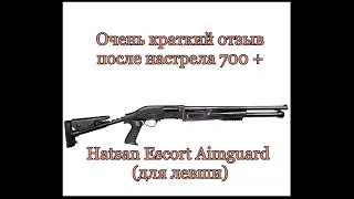 Очень краткий отзыв после настрела 700 + Hatsan Escort Aimguard (для левши)