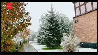 В городе прошёл первый снегопад