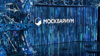 Шоу в Москвариуме Морская симфония