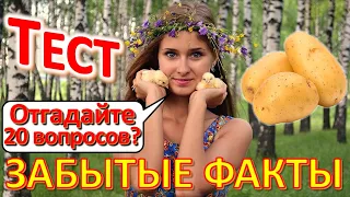 ТЕСТ 561 Угадай 20 фактов из СССР Жизнь в СССР Автостоп Лучшая настольная игра