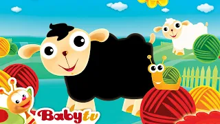 Baa Baa Black Sheep | BabyTV Bahasa Indonesia