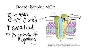 Anxiolytics & Sedative-Hypnotics