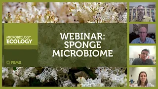 FEMS Microbiology Ecology Webinar on the Sponge Microbiome