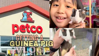 Getting my first Pet Guinea Pig at PETCO! | Momon Vlog