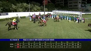 莫雷拉 達心星 2020 11 11 Happy Valley 快活谷 Race 8第八場 1 達心星 11 騰龍超影 8 鴻運飛鷹 10 凱旋來