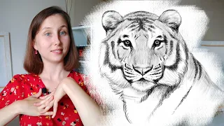 Как нарисовать тигра карандашом. Поэтапный туториал по рисованию