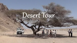 EGYPT: Desert tour, including camel ride (Marsa Alam)