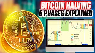 5 Phases of the Bitcoin Halving - Ultimate Guide For 2024