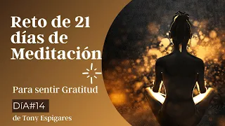 DÍA 14# RETO de 21 días de MEDITACIÓN para SENTIR GRATITUD de las enseñanzas DR. JOE DISPENZA