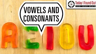 What Makes a Vowel a Vowel and a Consonant a Consonant