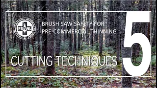 Brush Saw Safety for Pre-Commercial Thinning | Video Five | Brush Saw Cutting Techniques