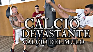 Calcio al fegato devastante il calcio del Mulo