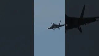 F-22 Raptor Strange Howl Sounds