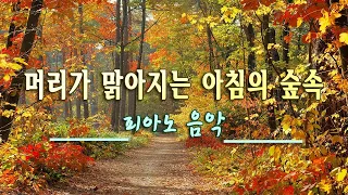 기분좋은 하루를 위한음악 🐛하루10분 만병을 치료 해주는 힐링 명상 기치료 음악 및 영상 - 아침명상음악 - 아침음악 - 힐링음악 - 명상음악