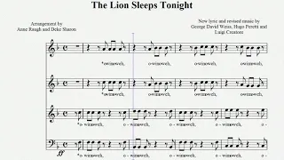 The Lion Sleeps Tonight BASS