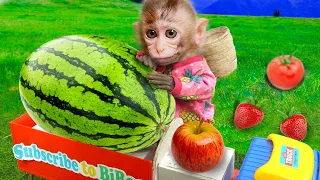 🐵Lovely Bi Bon picks fruits and carries watermelons by car 🍉 Baby Monkey video Animal HT