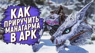 КАК ПРИРУЧИТЬ МАНАГАРМА В АРК (ARK: Survival Evolved)