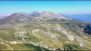 BJESHKËT E MALËSISË SË GJAKOVËS  SYLBICA