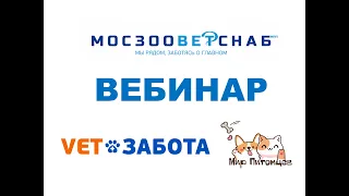 Анатомия и физиология ротовой полости собак и кошек. Нужны ли им зубы?