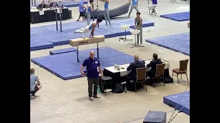 2024 U.S. Dev Nationals - Pommel Horse (Day 1) #gym #gymnast #hit #flip #parkour #olympics #sports