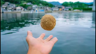 Dumpling fishing, embankment, black salmon