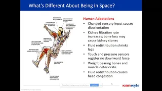 Why on Earth Should We Study the Health Issues of the Space Environment?