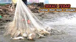 jala ikan di muara sungai Taiwan hasilnya di luar dugaan ll net fishing