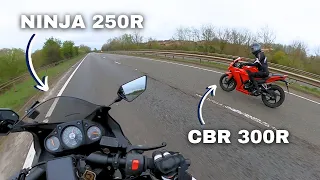 NINJA 250R vs CBR300R: Which should you choose?