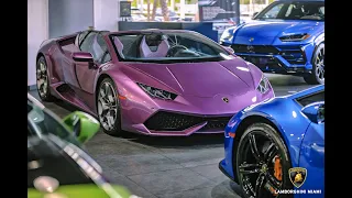 Lamborghini Huracan EVO SPYDER CRAZY Looking BULL & Lambo Paradise at Lamborghini Miami