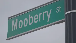 Curious Cbus: Mooberry Street's Namesake