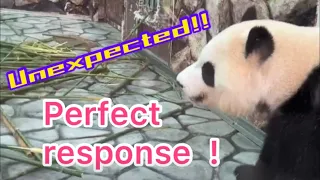 Perfect response‼️What actions did she take to the children❓🐼Adventure world 🌿Japan