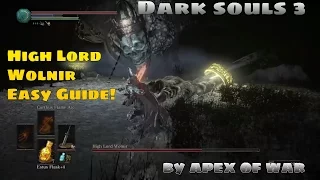 Dark Souls 3: "How To" High Lord Wolnir - No Damage Solo Guide - Catacombs of Carthus