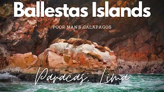 Ballestas Islands Peru with PeruHop | Paracas Peru