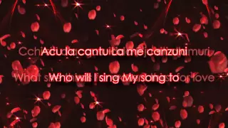 Brucia la terra, the Godfather love song with lyrics "Sicilian & English"