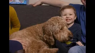 Cooper’s wish to have a service dog