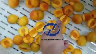 Date pitting machine/Plum segment separator/Peach/apricot kernel removing machine