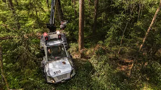 Malwa 560H - Compact class harvester for low impact forestry