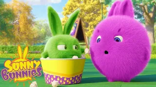 SUNNY BUNNIES | TEMPS DE CINEMA | Dessins Animés Pour Enfants | WildBrain