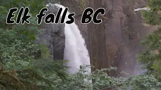 Elk falls (campbell river bc)