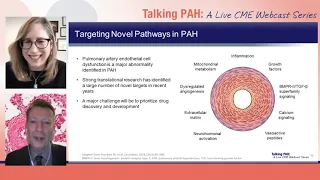 Talking PAH: Novel Therapies for Pulmonary Arterial Hypertension