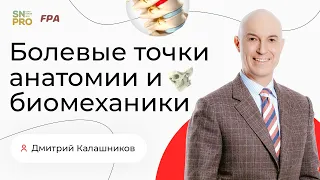 Болевые точки анатомии и биомеханики | Дмитрий Калашников