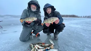 Šiandien Kimba 2022.02.19 | Ešeriai