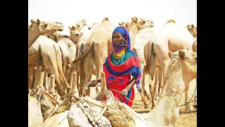 People of Chad, encounters on the pathways of Chad