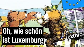 Steueroasen: Wo deutsche Unternehmen ihr Geld versteuern | extra 3 | NDR