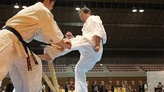 【新極真会】第30回東北空手道選手権大会 特別演武  SHINKYOKUSHINKAI KARATE ENBU