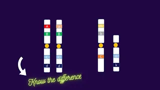 Heterozygous vs Hemizygous genotype[ alleles, homozygous]