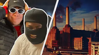 Two Idiots React to Pink Floyd - Animals